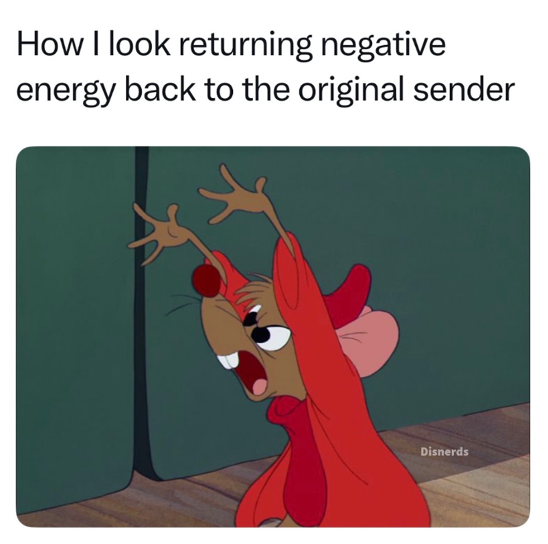 How I look returning negative energy back to the original sender Disnerds