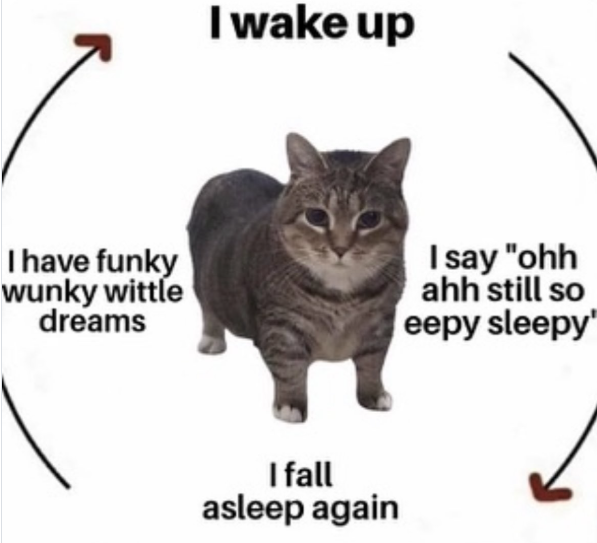 I wake up I have funky wunky wittle dreams I say "ohh ahh still so eepy sleepy" I fall asleep again