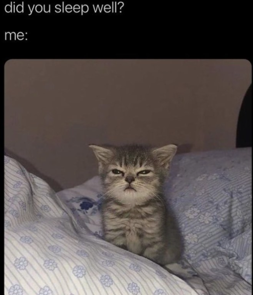 did you sleep well? me: