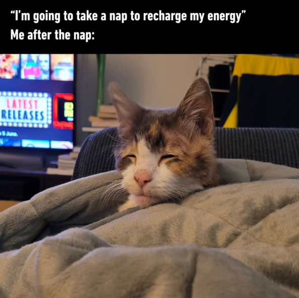 "I'm going to take a nap to recharge my energy" Me after the nap: LATEST RELEASES