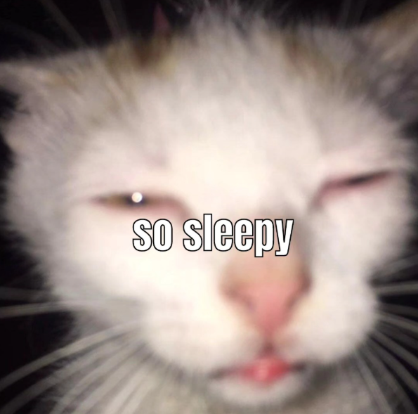 so sleepy