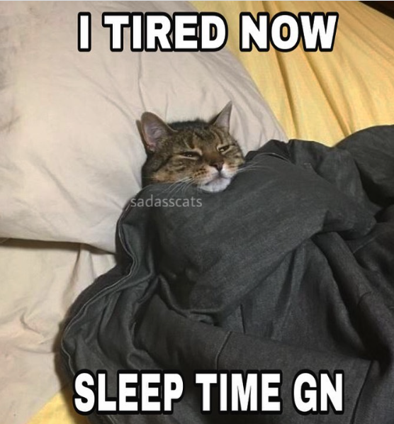 I TIRED NOW sadasscats SLEEP TIME GN