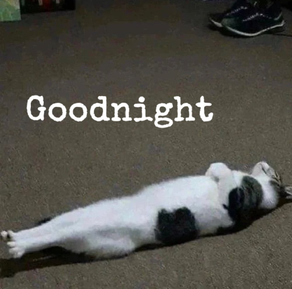 Goodnight