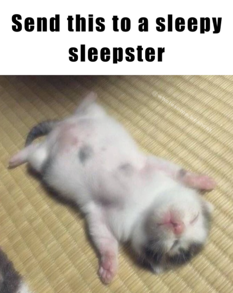 Send this to a sleepy sleepster