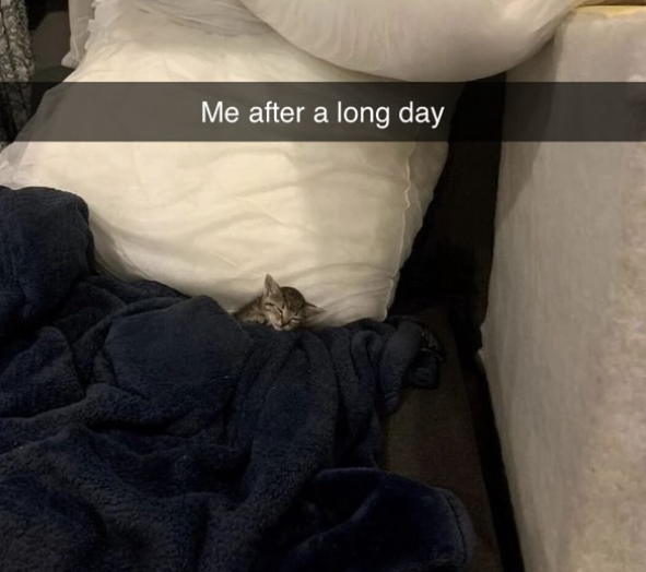 Me after a long day
