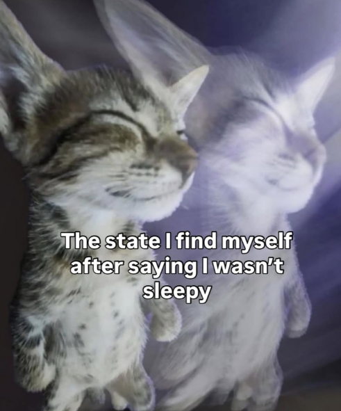 The state I find myself after saying I wasn't sleepy