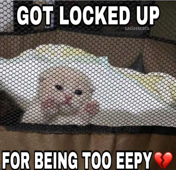 GOT LOCKED UP sadasscats FOR BEING TOO EEPY
