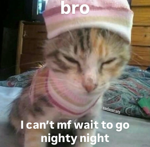 bro sadasscats I can't mf wait to go nighty night