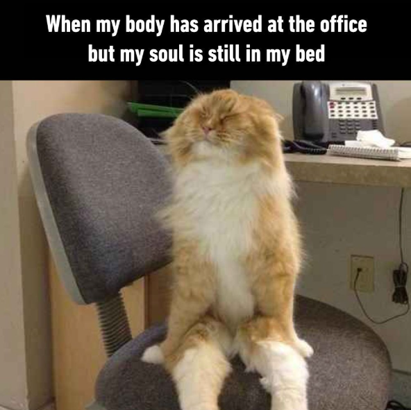 When my body has arrived at the office but my soul is still in my bed
