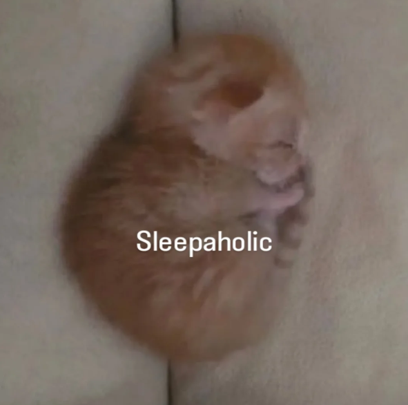 Sleepaholic