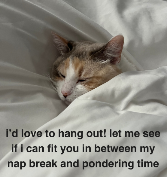 i'd love to hang out! let me see if i can fit you in between my nap break and pondering time