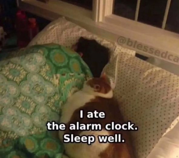 @blessedca I ate the alarm clock. Sleep well.