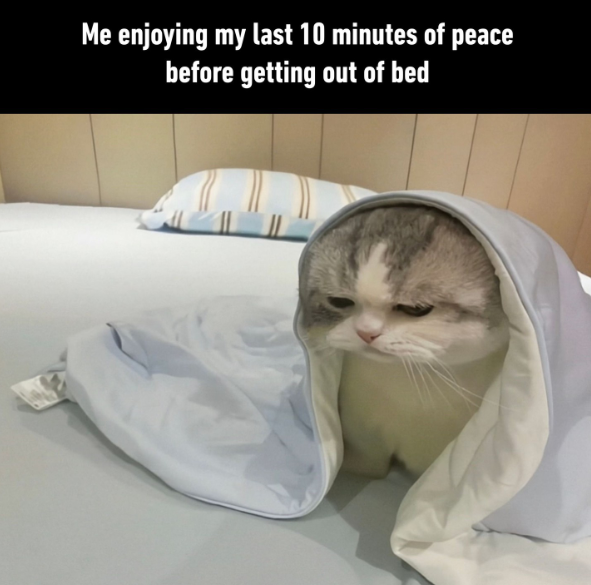 Me enjoying my last 10 minutes of peace before getting out of bed