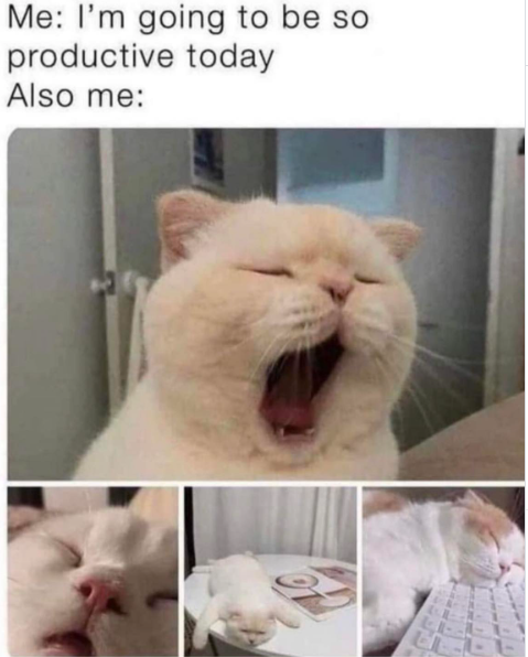 Me: I'm going to be so productive today Also me: