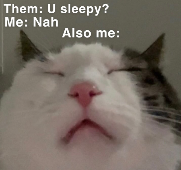 Them: U sleepy? Me: Nah Also me:
