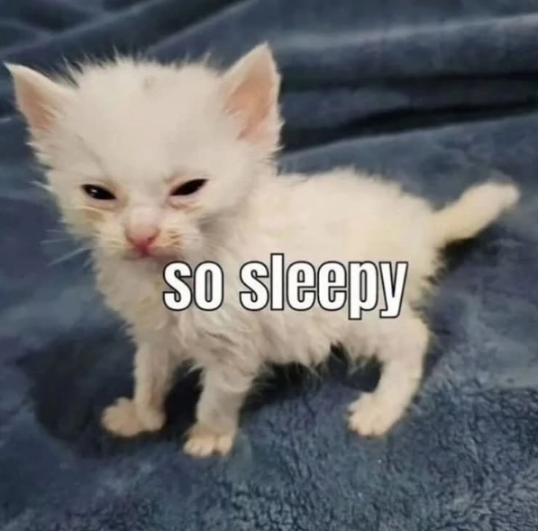 so sleepy