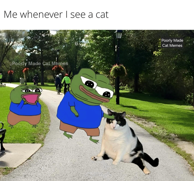 Me whenever I see a cat Poorly Made Cat Memes :: Poorly Made Cat Memes