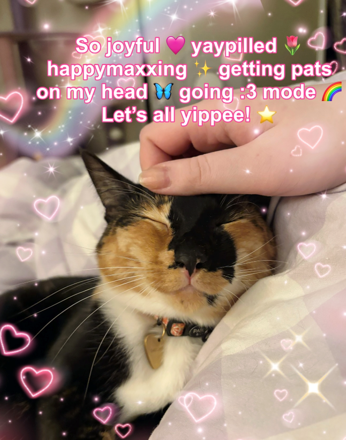 So joyful yaypilled C happymaxxing getting pats on my head W going :3 mode Let's all yippee! 3 D