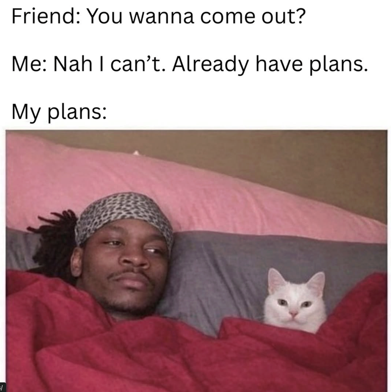 Friend: You wanna come out? Me: Nah I can't. Already have plans. My plans: