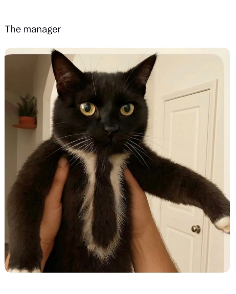 The manager