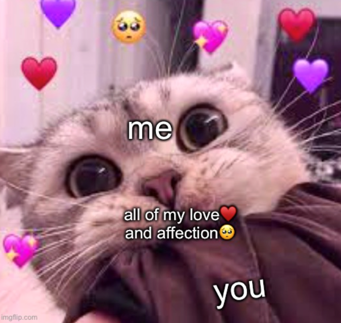 imgflip.com me all of my love and affection you