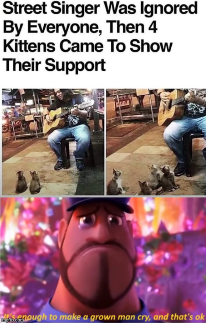 Street Singer Was Ignored By Everyone, Then 4 Kittens Came To Show Their Support gip.commough to make a grown man cry, and that's ok