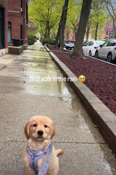 first walk in the rain