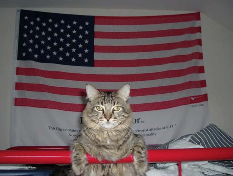This flag contains Now or TM terrorist attacks of 9.11. nortality AUDIOR