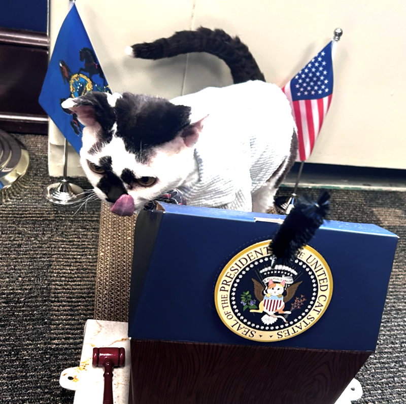 UNITED CAT STATES RESIDENT OF THE SEAL OF