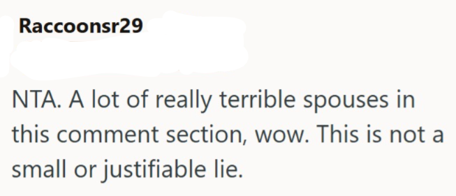 Raccoonsr29 NTA. A lot of really terrible spouses in this comment section, wow. This is not a small or justifiable lie.
