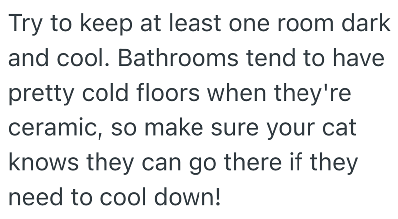Try to keep at least one room dark and cool. Bathrooms tend to have pretty cold floors when they're ceramic, so make sure your cat knows they can go there if they need to cool down!