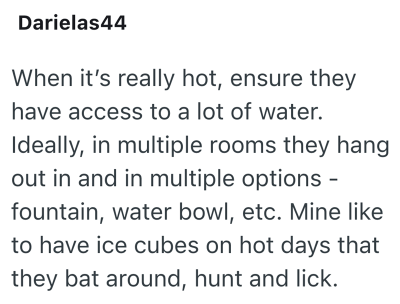 Darielas44 When it's really hot, ensure they have access to a lot of water. Ideally, in multiple rooms they hang out in and in multiple options - fountain, water bowl, etc. Mine like to have ice cubes on hot days that they bat around, hunt and lick.