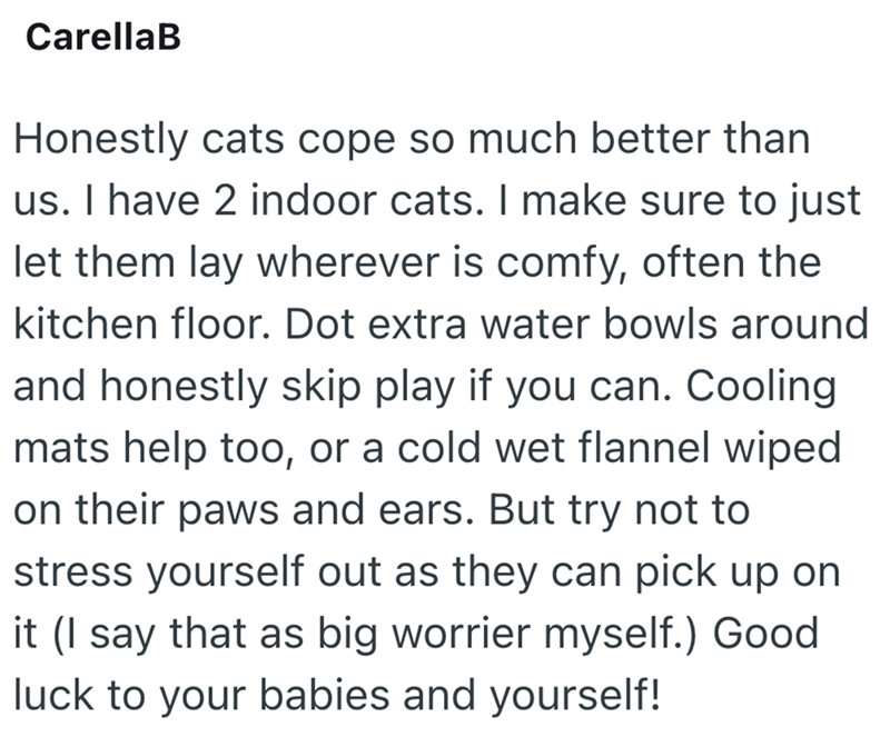 CarellaB Honestly cats cope so much better than us. I have 2 indoor cats. I make sure to just let them lay wherever is comfy, often the kitchen floor. Dot extra water bowls around and honestly skip play if you can. Cooling mats help too, or a cold wet flannel wiped on their paws and ears. But try not to stress yourself out as they can pick up on it (I say that as big worrier myself.) Good luck to your babies and yourself!