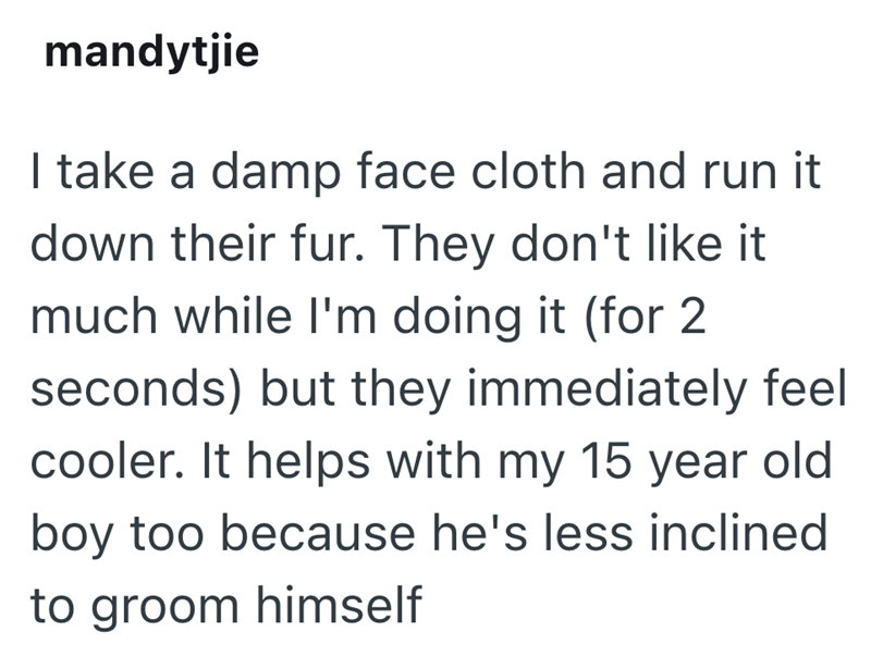 mandytjie I take a damp face cloth and run it down their fur. They don't like it much while I'm doing it (for 2 seconds) but they immediately feel cooler. It helps with my 15 year old boy too because he's less inclined to groom himself