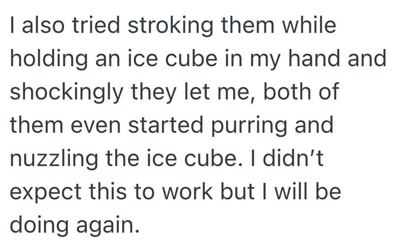 I also tried stroking them while holding an ice cube in my hand and shockingly they let me, both of them even started purring and nuzzling the ice cube. I didn't expect this to work but I will be doing again.
