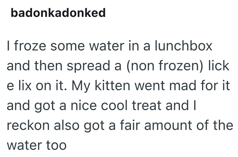 badonkadonked I froze some water in a lunchbox and then spread a (non frozen) lick e lix on it. My kitten went mad for it and got a nice cool treat and I reckon also got a fair amount of the water too