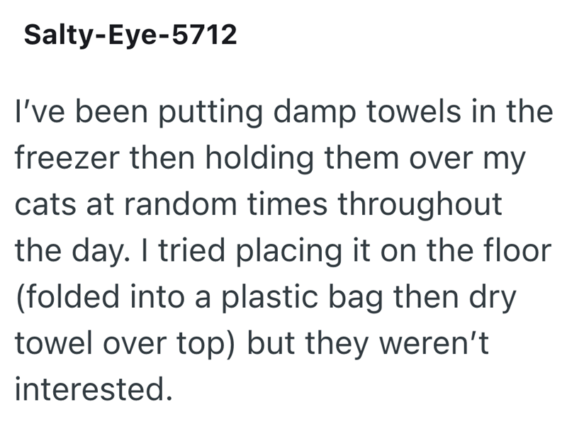 Salty-Eye-5712 I've been putting damp towels in the freezer then holding them over my cats at random times throughout the day. I tried placing it on the floor (folded into a plastic bag then dry towel over top) but they weren't interested.