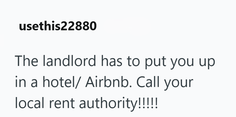 usethis22880 The landlord has to put you up in a hotel/ Airbnb. Call your local rent authority!!!!!