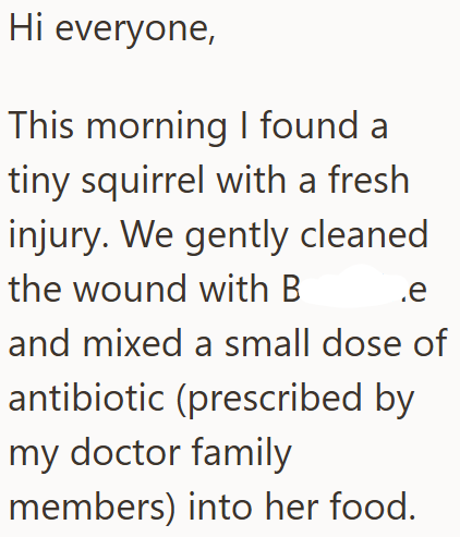 Hi everyone, This morning I found a tiny squirrel with a fresh injury. We gently cleaned the wound with B .e and mixed a small dose of antibiotic (prescribed by my doctor family members) into her food.