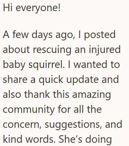 Hi everyone! A few days ago, I posted about rescuing an injured baby squirrel. I wanted to share a quick update and also thank this amazing community for all the concern, suggestions, and kind words. She's doing