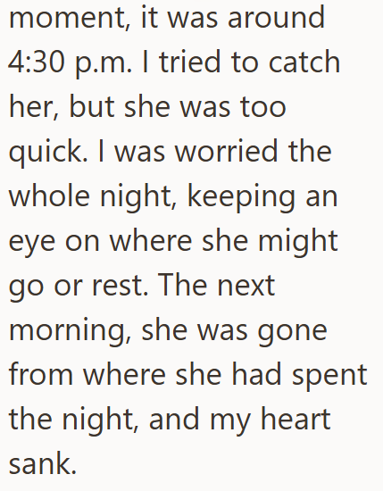 moment, it was around 4:30 p.m. I tried to catch her, but she was too quick. I was worried the whole night, keeping an eye on where she might go or rest. The next morning, she was gone from where she had spent the night, and my heart sank.