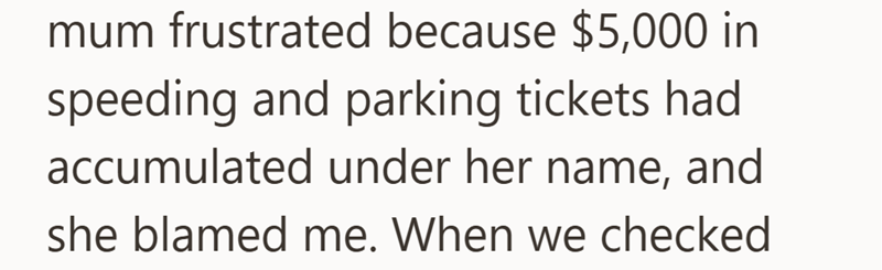 mum frustrated because $5,000 in speeding and parking tickets had accumulated under her name, and she blamed me. When we checked