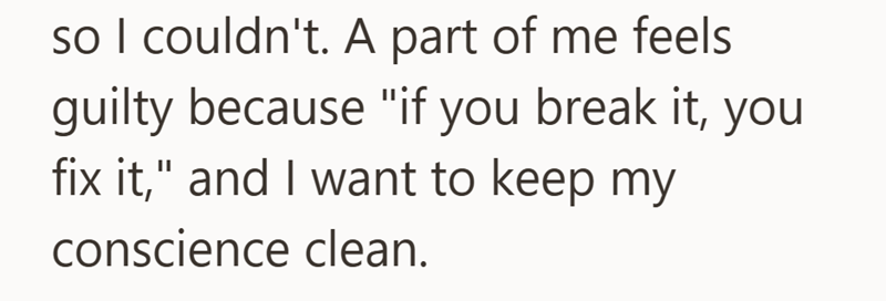 so I couldn't. A part of me feels guilty because "if you break it, you fix it," and I want to keep my conscience clean.