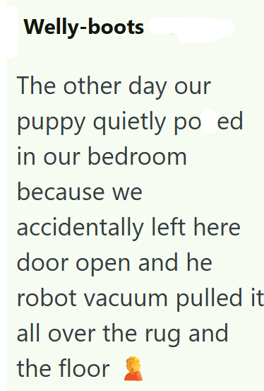 Welly-boots The other day our puppy quietly po ed in our bedroom because we accidentally left here door open and he robot vacuum pulled it all over the rug and the floor