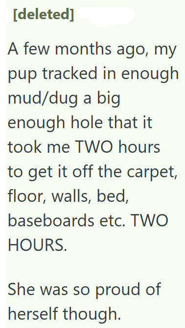 [deleted] A few months ago, my pup tracked in enough mud/dug a big enough hole that it took me TWO hours to get it off the carpet, floor, walls, bed, baseboards etc. TWO HOURS. She was so proud of herself though.