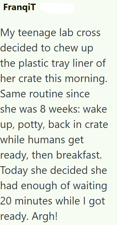 FranqiT My teenage lab cross decided to chew up the plastic tray liner of her crate this morning. Same routine since she was 8 weeks: wake up, potty, back in crate while humans get ready, then breakfast. Today she decided she had enough of waiting 20 minutes while I got ready. Argh!