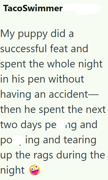 TacoSwimmer My puppy did a successful feat and spent the whole night in his pen without having an accident- then he spent the next two days pe ng and poing and tearing up the rags during the night →→