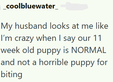 coolbluewater_ My husband looks at me like I'm crazy when I say our 11 week old puppy is NORMAL and not a horrible puppy for biting