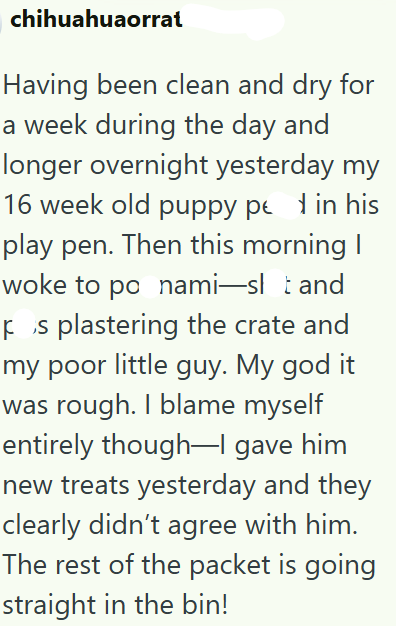 chihuahuaorrat Having been clean and dry for a week during the day and longer overnight yesterday my 16 week old puppy pt 1 in his play pen. Then this morning I woke to po nami-sl tand ps plastering the crate and my poor little guy. My god it was rough. I blame myself entirely though―l gave him new treats yesterday and they clearly didn't agree with him. The rest of the packet is going straight in the bin!