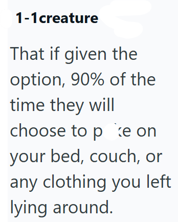 1-1 creature That if given the option, 90% of the time they will choose to pke on your bed, couch, or any clothing you left lying around.